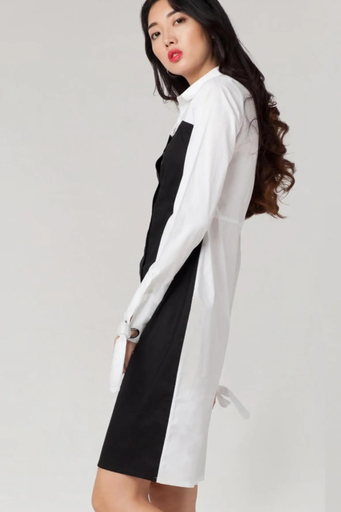 Abby Bi-color Shirt Dress
