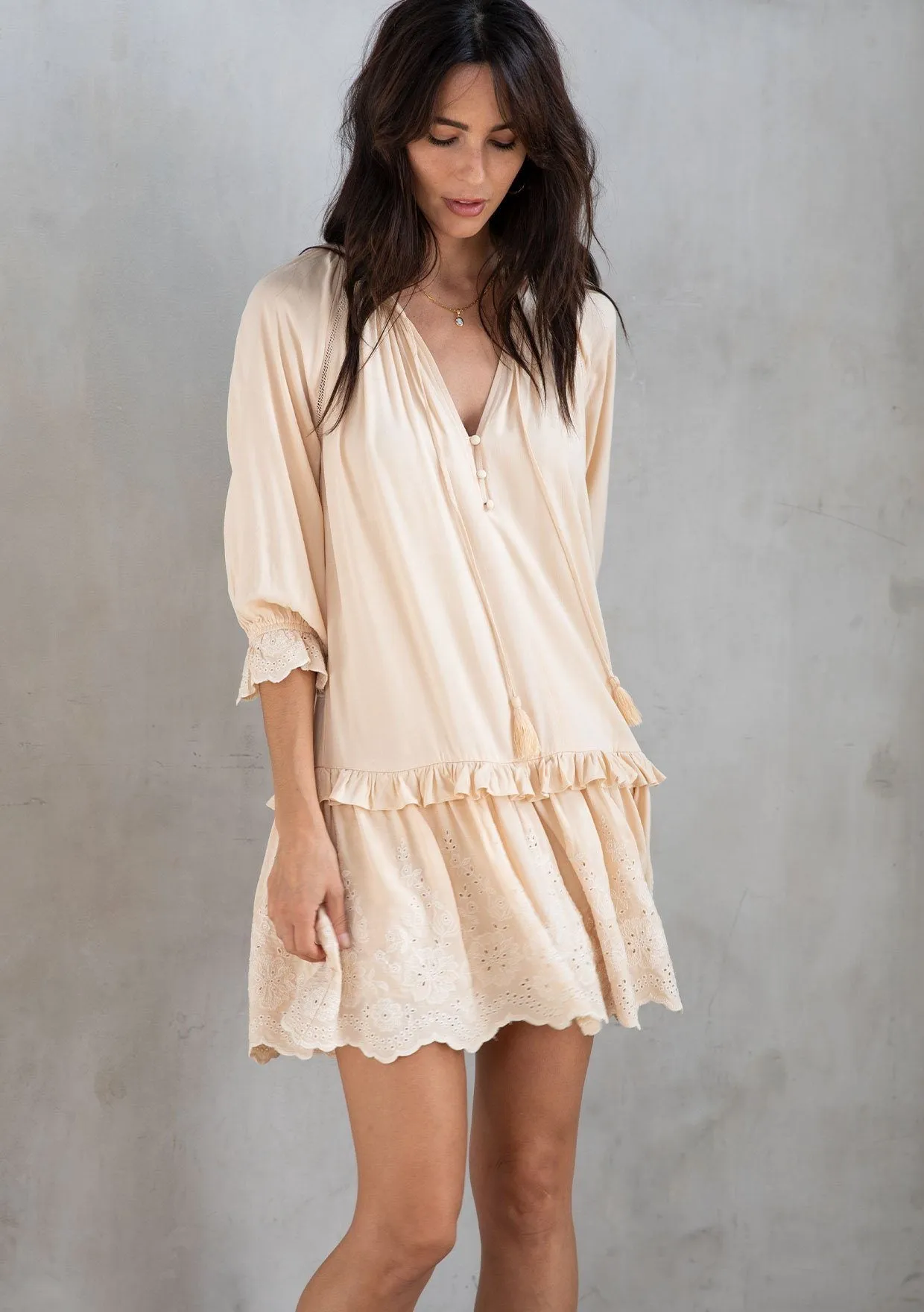 Morrison Embroidered Mini Dress